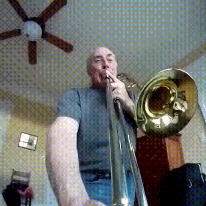 http://s3.amazonaws.com/mishenev/media/тромбон селфи-2015-05-02-21-35-07-612-6712.gif